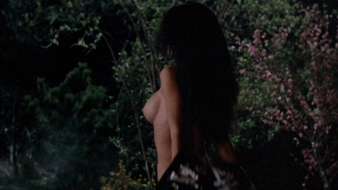 Tia Carrere in Showdown in Little Tokyo (1991) Breasts Body Double Bathtub Big Breasts 770570