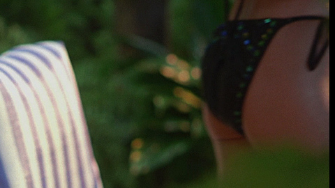 Tia Carrere in Wayne's World (1992) Bikini Bikini Black Bikini 683563