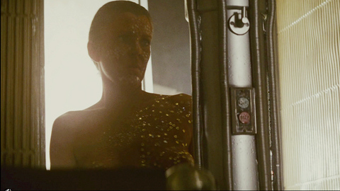 Joanna Cassidy in Blade Runner (1982) Breasts Breasts Glitter 674976