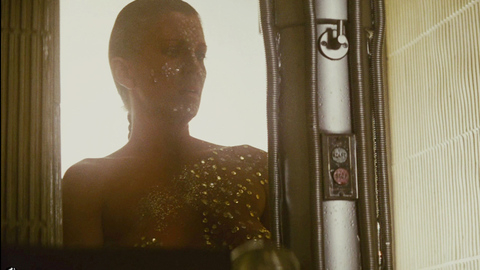 Joanna Cassidy in Blade Runner (1982) Breasts Breasts Gliter 674978