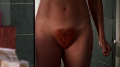 Nudes of Samantha Jones from Sex and the City. Bush, Merkin, close-up, dying bush. 971286