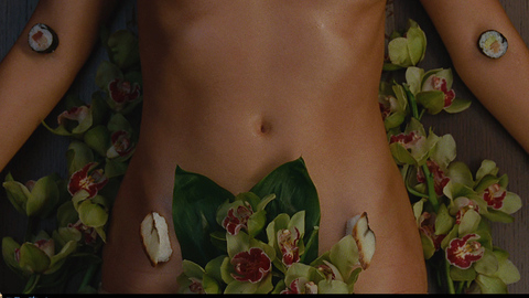 Kim Cattrall in Sex and the City (2008) Sexy Close Up Flowers Covering Bush 671246