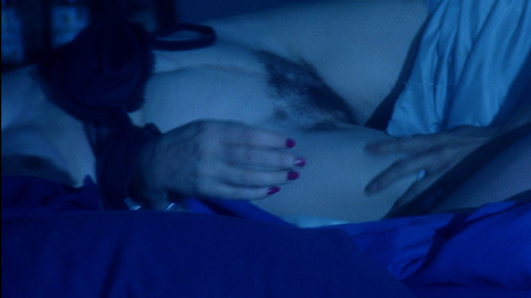 Candy Clark in The Man Who Fell to Earth (1976) Bush Body Double Body Double Bush 685546
