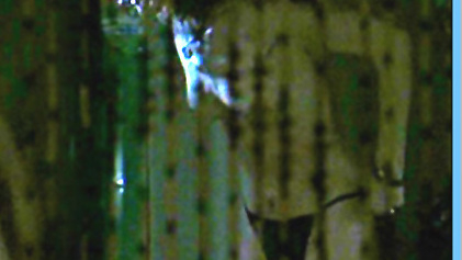 Embeth Davidtz Nude as Mallory Doss. Breasts, Bush, behind bead curtain, collage. 539060