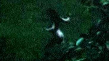 Nudes of Imogen Langrishe from Langrishe, Go Down. Butt, nude, out of focus. 608460