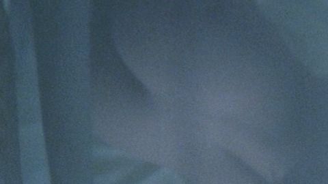 Catherine Deneuve in The Hunger (1983) Butt Lesbian Body Double Body Double Butt 772235