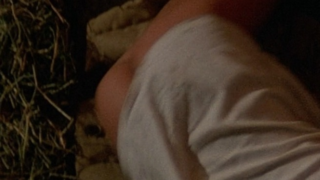 Nudes of Katie O'Dare Scott from Ghosts Can't Do It. Butt, falling, haystack. 780984