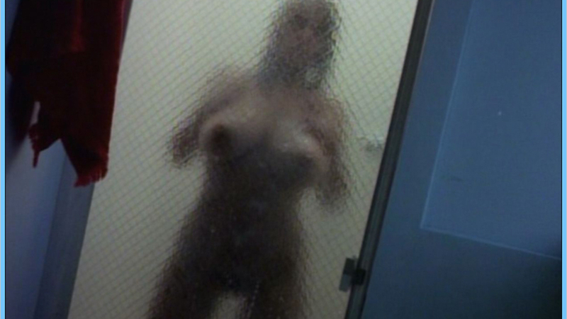 Uschi Digard Nude as Soul. Breasts, behind shower glass, breasts behind glass. 584624