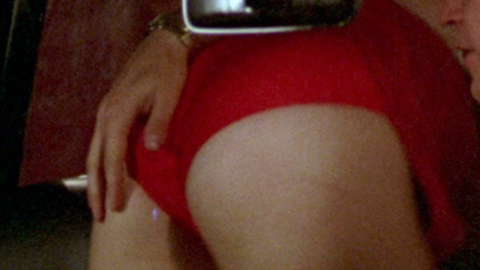 The Hollywood Knights's Sexiest Scenes with Fran Drescher. Sexy, car, couple. 701820