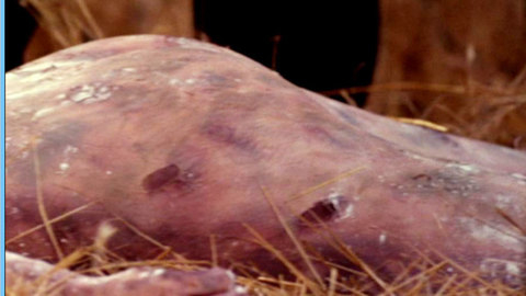 Stacy Edwards in Relentless 3 (1993) Butt Bruised Butt 540264
