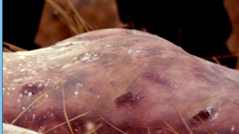 Stacy Edwards in Relentless 3 (1993) Butt Bruised Body Butt 540265
