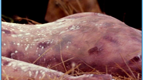 Stacy Edwards in Relentless 3 (1993) Butt Bruised Butt 540266