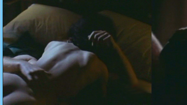 Debrah Farentino Nude in NYPD Blue. Breasts, Butt, Bush, brunette, collage. 653380
