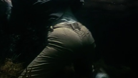 Sexiest Scenes of Kelly Scott from Lake Placid. Sexy, SFW, alligator. 855107