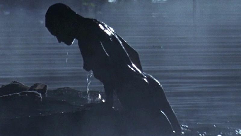 Jodie Foster Naked in Nell. Breasts, Butt, back exposed, dripping wet. 752737