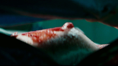 Jodie Foster in The Brave One (2007) Breasts Body Double Blood Bloody Breast 706825