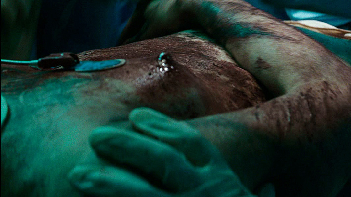 Nudes of Erica Bain from The Brave One. Breasts, Body Double, bloody, nude. 706830