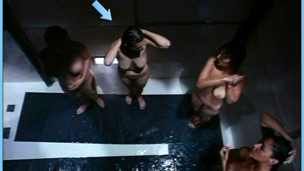 Carrie Genzel Naked in Caged Hearts. Breasts, Bush, hairy bush, multiple women. 542161