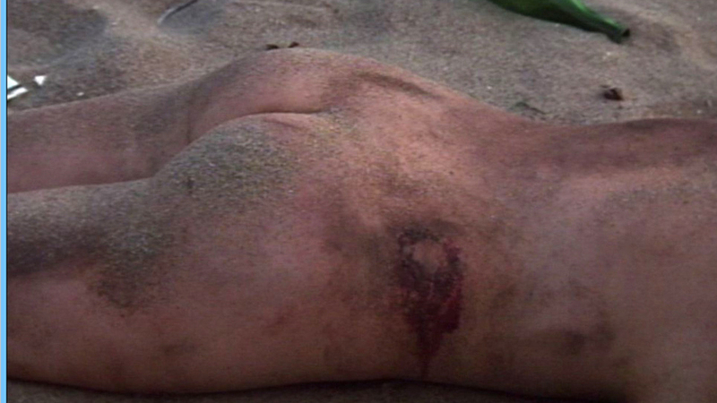 Carla Gugino Nude as Megan 'Meg' Harris. Butt, beach, blood. 543098