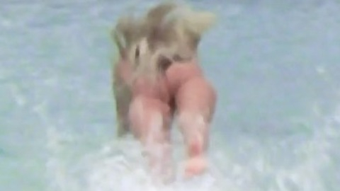 Daryl Hannah in Splash (1984) Butt Beach Blonde 753507