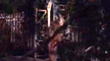 Daryl Hannah Naked in Roxanne. Butt, nude, outdoors. 563029