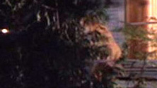 Daryl Hannah Nude as Roxanne Kowalski. Butt, nude, outdoors. 563030