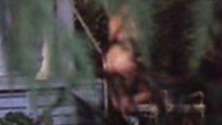 Daryl Hannah Naked as Roxanne Kowalski. Butt, nude, outdoors. 563031