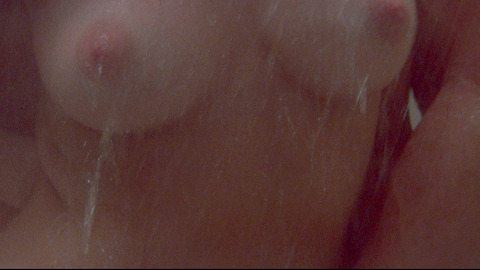 Victoria Lynn Johnson in Dressed to Kill (1980) Breasts Breast Close Up Breasts 700791