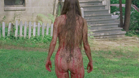 Camille Keaton Naked as Jennifer Hills. Butt, back exposed, blonde. 693255