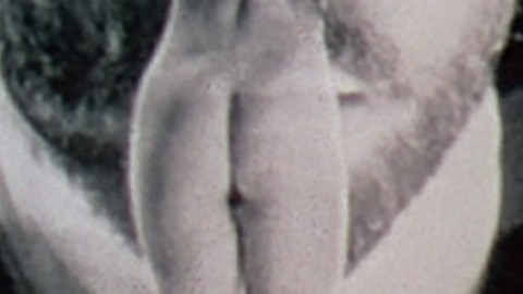 Nicole Kidman Naked in The Portrait of a Lady. Butt, black and white, long hair. 828229
