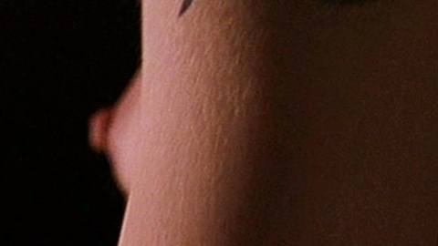 Nicole Kidman in The Human Stain (2003) Breasts Back Exposed Breasts 717834
