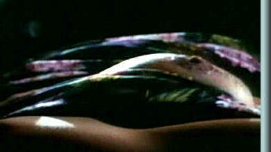 Kathleen Kinmont Nude in Night of the Warrior. Breasts, hard nipples, hard nippls. 545770