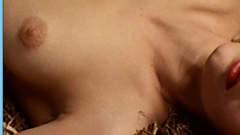 Sylvia Kristel Nude as Diana Van Den Berg. Breasts, left breast, nude. 569402