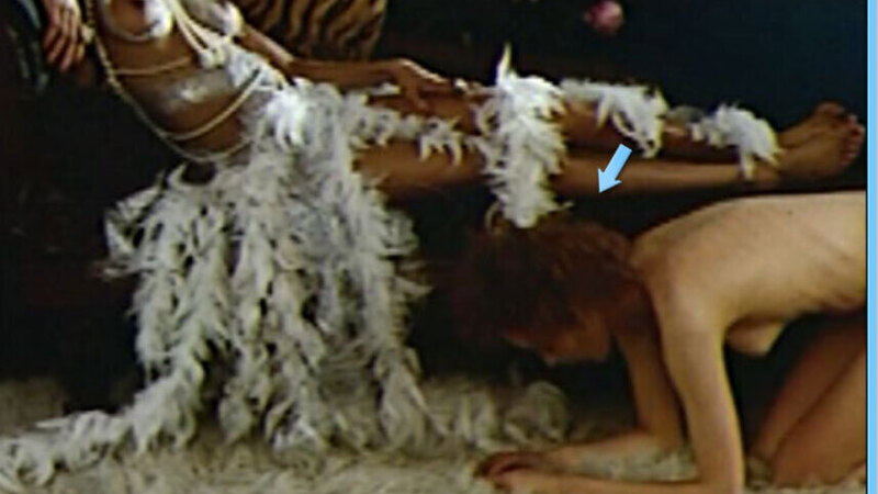 Sylvia Kristel Naked as Diana Van Den Berg. Breasts, brunette, feather outfit. 569403