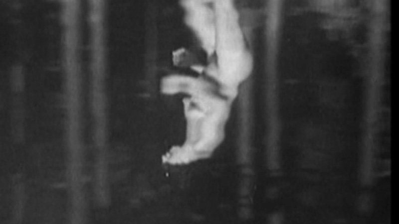 Hedy Lamarr Nude as Eva Hermann. Breasts, Bush, black and white, brunette. 671672