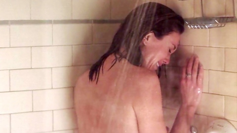 Diane Lane Naked in Must Love Dogs. Breasts, A-list, brunette. 1006741