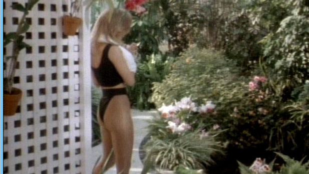 Sexiest Scenes of Deborah Quinn from Physical Evidence. Sexy, SFW, black panties. 604445