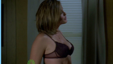 Hottest Mariska Hargitay Scene in Law & Order: Special Victims Unit. Underwear, SFW, black bra. 655628