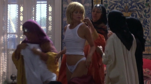 Protocol's Sexiest Scenes with Goldie Hawn. Underwear, SFW, blonde. 890952