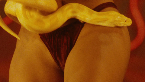 Salma Hayek in From Dusk Till Dawn (1996) Sexy Close Up Red Underwear 705706