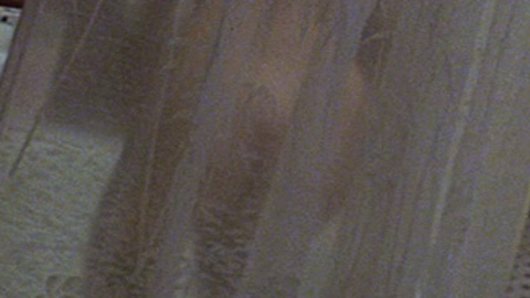 Barbara Hershey in The Entity (1981) Sexy Body Double Body Double See Through Shower Curtain 714749