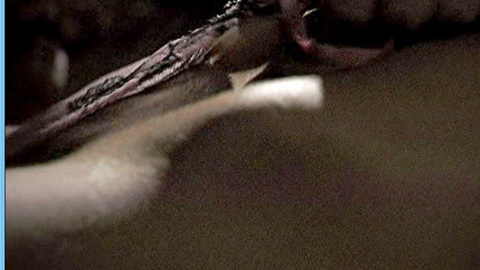 Lauren Holly in Fatwa (2006) Bush Thong Bush Bush Close Up 634459