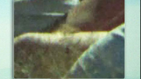 Isabelle Huppert in Going Places (1974) Bush Bottomless Brunette 702789