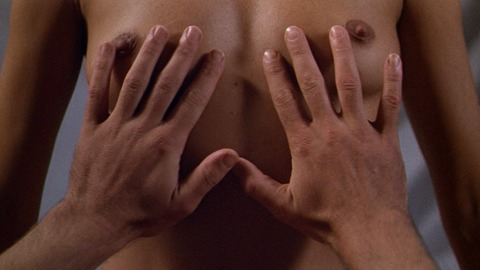 Lauren Hutton in American Gigolo (1980) Breasts Breasts Breasts Exposed 781648