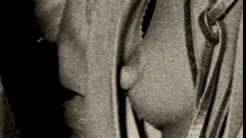 Ali MacGraw Nude as Herself. Breasts, black and white, breast peeking out. 684536