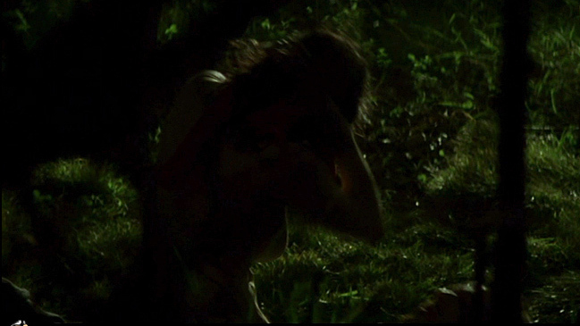 Virginia Madsen Naked as Agatha Sparrow / Fabrizia. Breasts, Body Double, night, nude. 681777