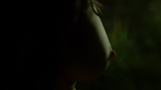 Virginia Madsen Nude in The Number 23. Breasts, Body Double, close-up, nude. 681778