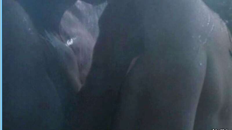 White Sands's Sexiest Scenes with Mary Elizabeth Mastrantonio. Sexy, SFW, couple. 548136