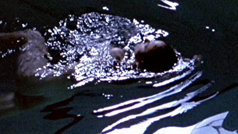 Sarah Norman from Children of a Lesser God Naked. Body Double, Butt, brunette, in water. 548153