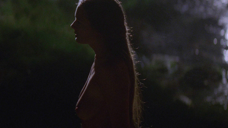 Catherine McCormack Nude in Braveheart. Breasts, brunette, dark. 675382